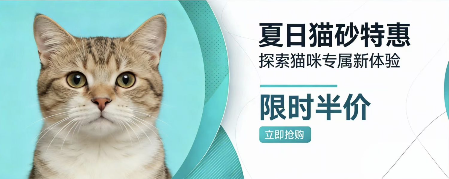 建平全域跨境电商网 promo